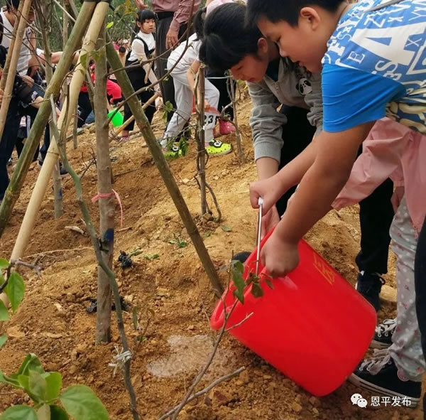 微信图片_20200903162026.jpg