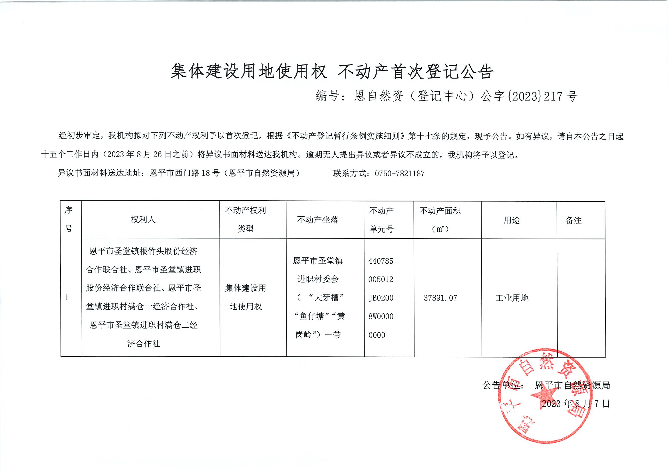 集体建设用地使用权 不动产首次登记公告 编号：恩自然资（登记中心）公字〔2023〕第217号.jpg